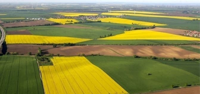 12 земельних ділянок на Львівщині виставили на торги