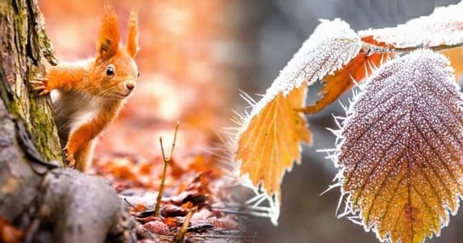 Умовне фото