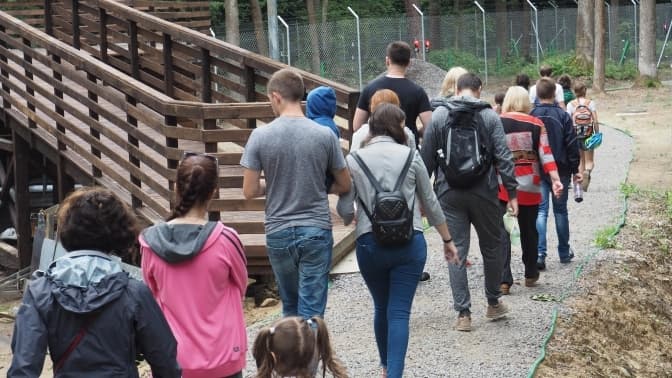 Фото: Домажир