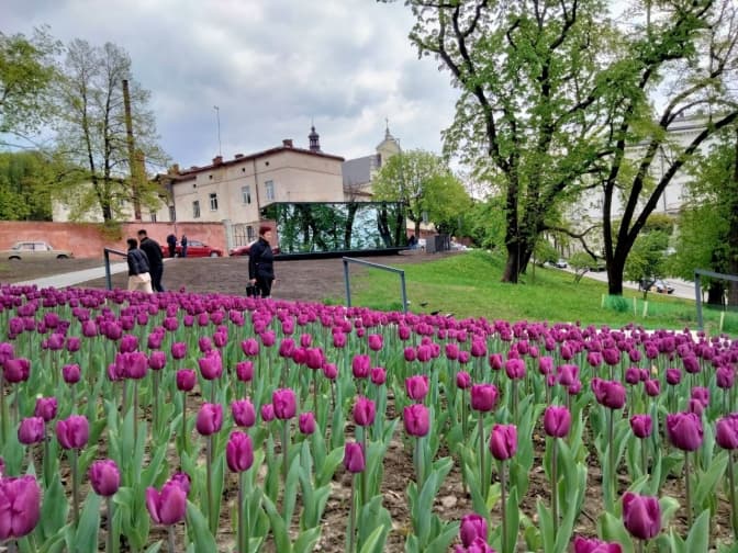 фото любомира зубача
