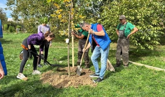 У Львові висадять понад 300 дерев і кущів