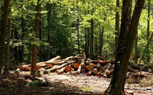 Умовне фото