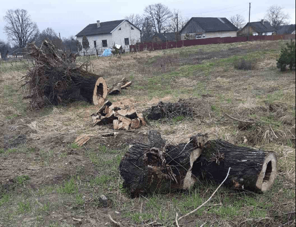фото: Державна екологічна інспекція у Львівській області