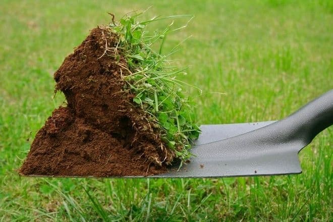 Фото умовне/UBR