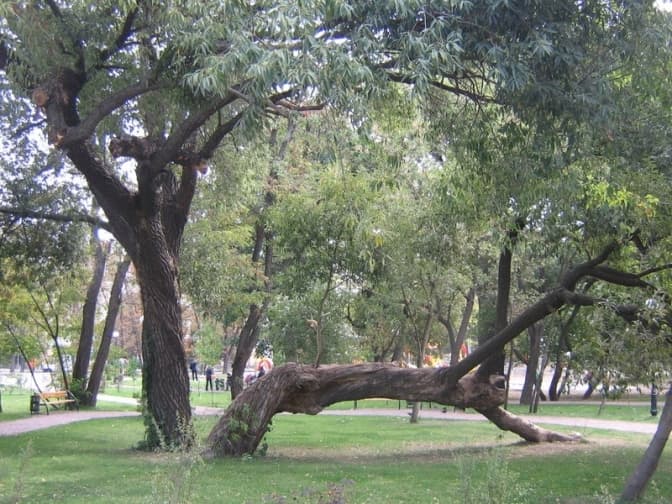 Киянам пропонують обрати назви для парку і скверу