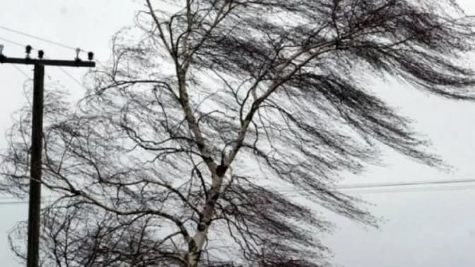 Умовне фото