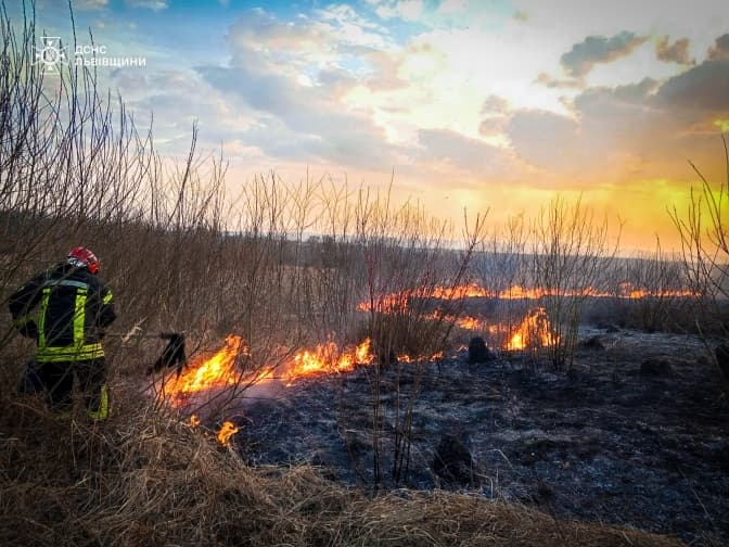 На Львівщині за добу ліквідували 120 пожеж сухої трави. Десять будівель були під загрозою