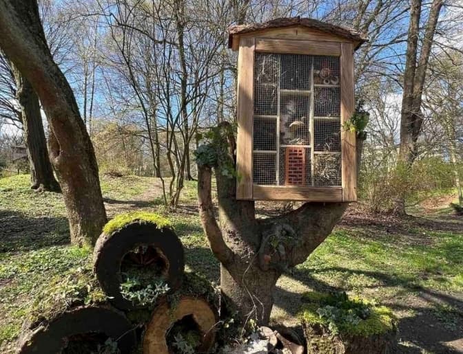 Фото: Львів. Містобудування