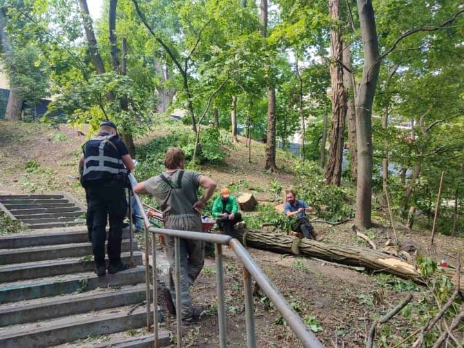 Невідомі спиляли дерева біля Аскольдової могили в Києві