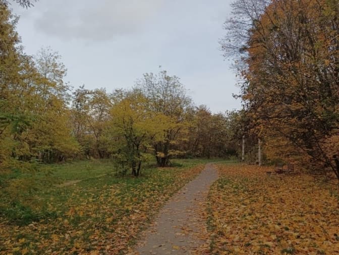 Один із парків Львова планують покращити