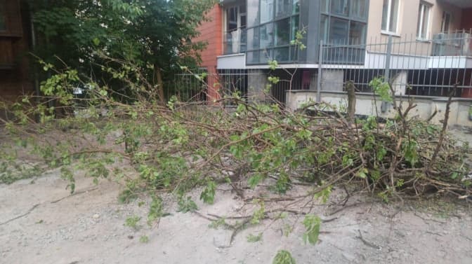 Суд зобов'язав поліцію відкрити провадження через вирубку дерев під паркінг на Січових стрільців у Києві