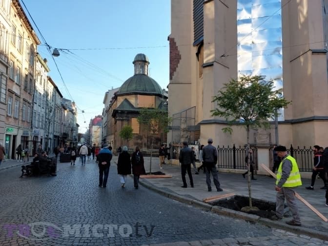 Скільки у Львові висадили дерев упродовж року і де найбільше