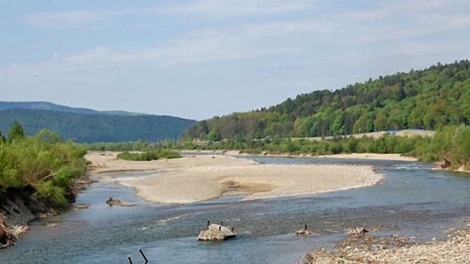 П'ятеро мешканців Львівщини, які плавали у річці Стрий, захворіли на лептоспіроз