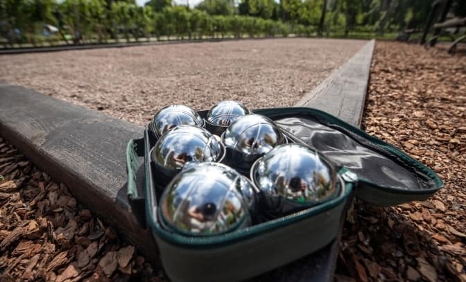 Фото: КО «Київзеленбуд»