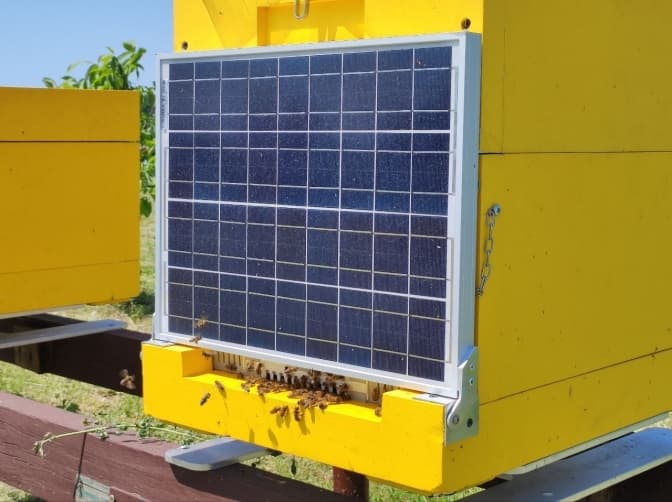 На Київщині відкрили IT-пасіку з 10 вуликів