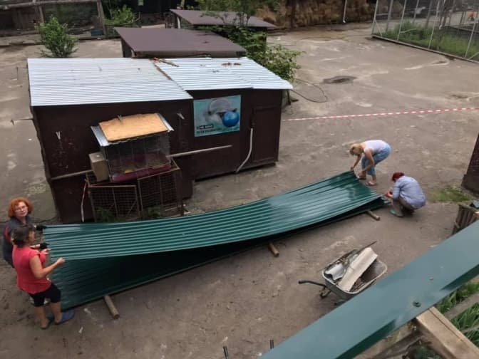 У Домівці врятованих тварин відремонтували дах, який повалило буревієм