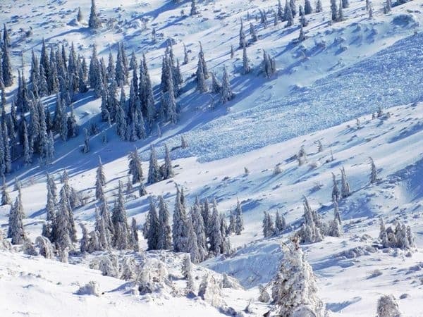 У Карпатах зійшла снігова лавина. Фото