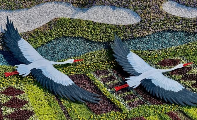 У Києві з'явилось нове квіткове панно з лелеками