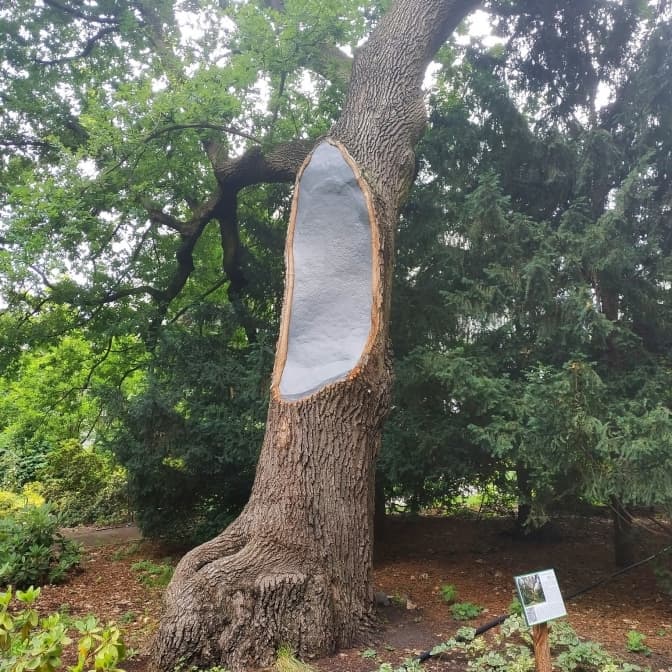 ФОТО: ВОЛОДИМИР ВЕТРОГРАДСЬКИЙ / FACEBOOK

