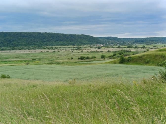 Засіяли територію майбутнього цвинтаря. На Львівщині невідомі захопили майже 100 га землі