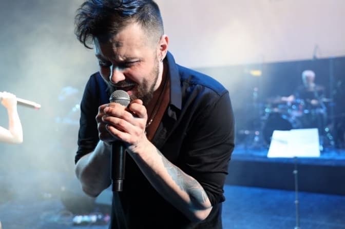 Фото: Мертвий півень