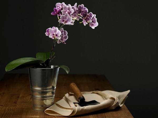 Ілюстративне фото / Ukr.media