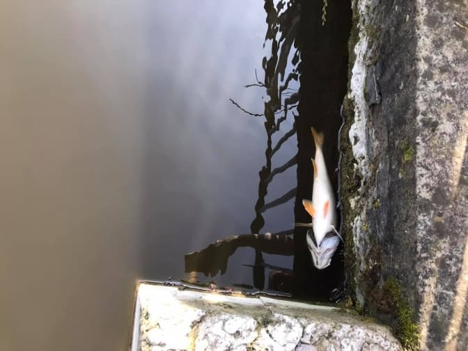 Фото: Кристина Кровицька