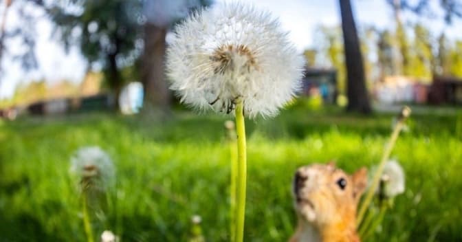 Хмарно, але тепло. Якою буде погода у найближчі дні