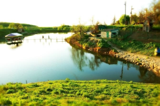 фото: donfish.org