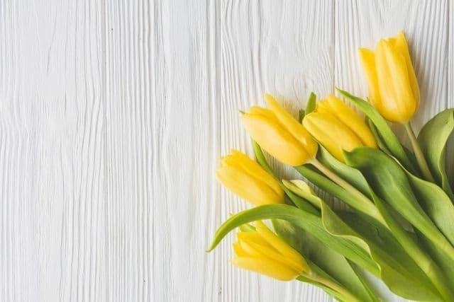 Фото: pixabay.com