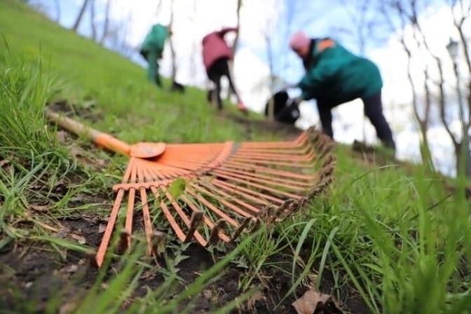 Сьогодні у Львові відбудеться толока у парку «Знесіння»