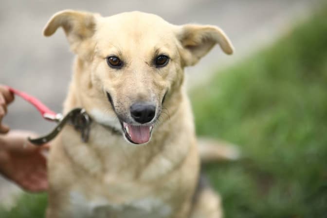 Фото: Марта Сирко