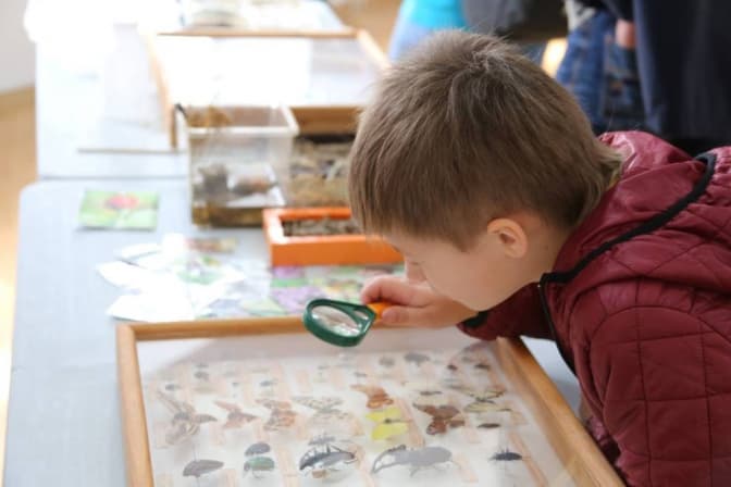 фото: galinfo.com.ua