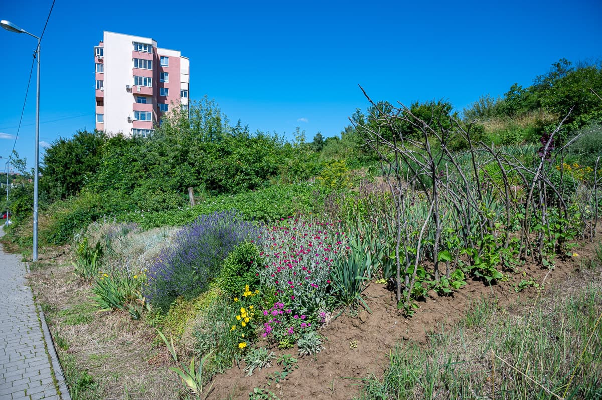 Які зміни чекають на Шевченківський район Львова та військовий про легалізацію канабісу. Підсумки доби