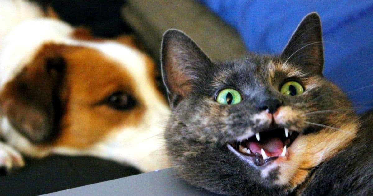 Ілюстративне фото / imgur.com