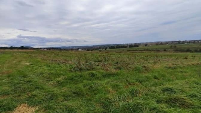 Умовне фото