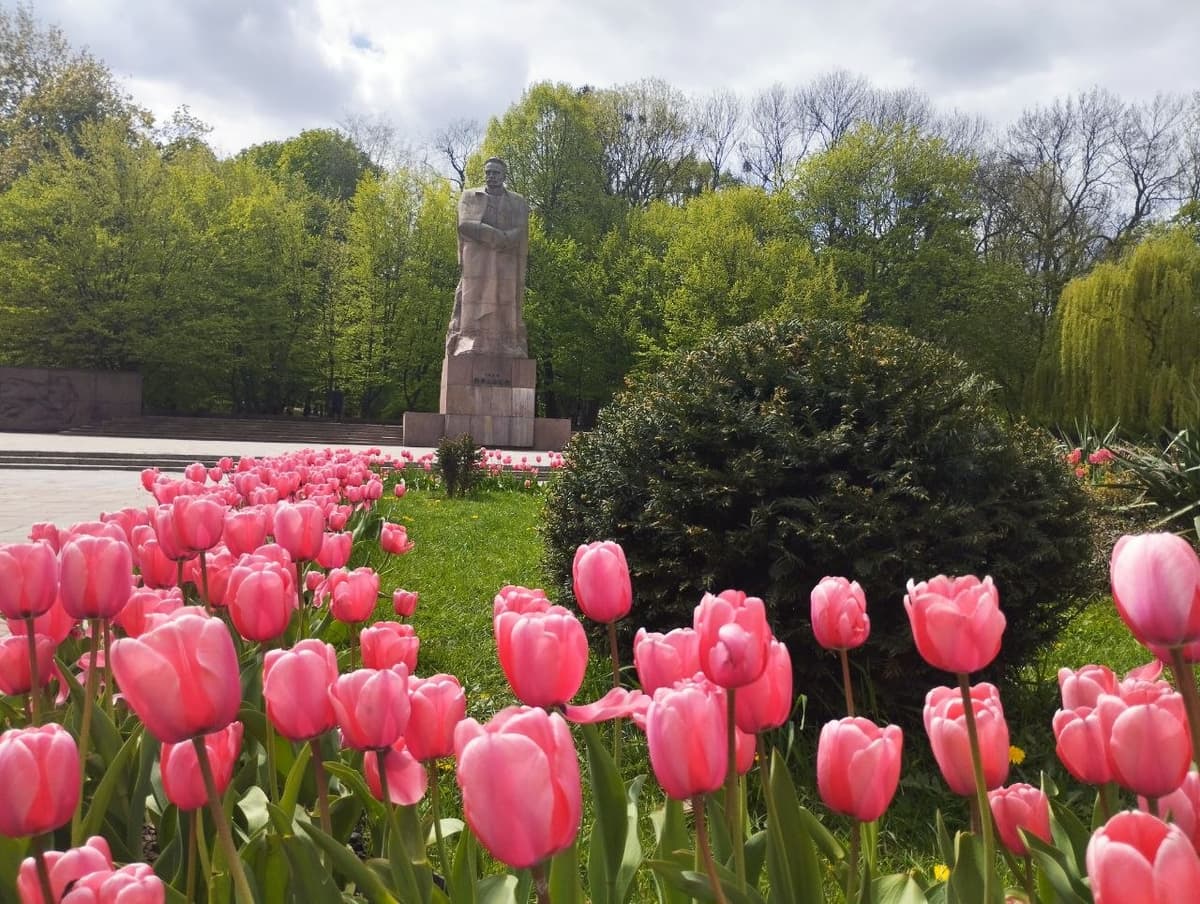 Куди піти у Львові на цих вихідних: фестивалі, екскурсії, марафон і виставки 
