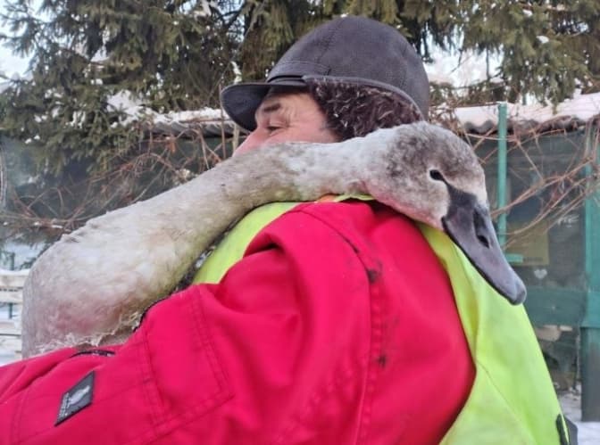 фото: Центральна рятувально-водолазна служба Львівської області