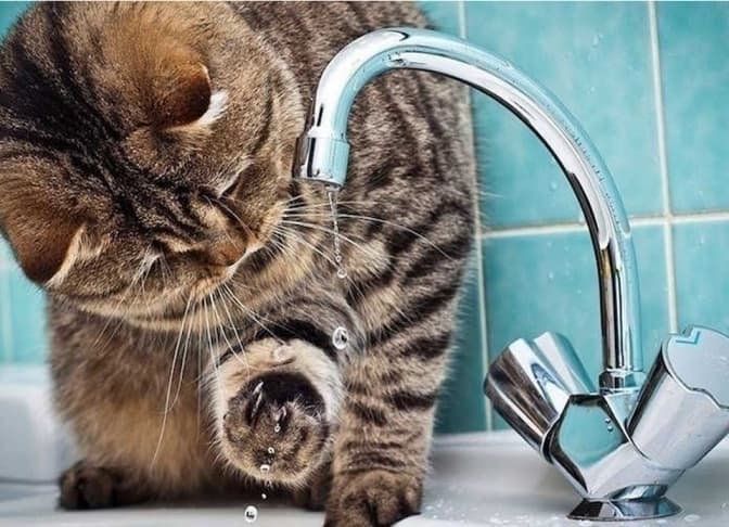 Через аварію на водогоні 115 вулиць Львова отримують воду з пониженим тиском: адреси