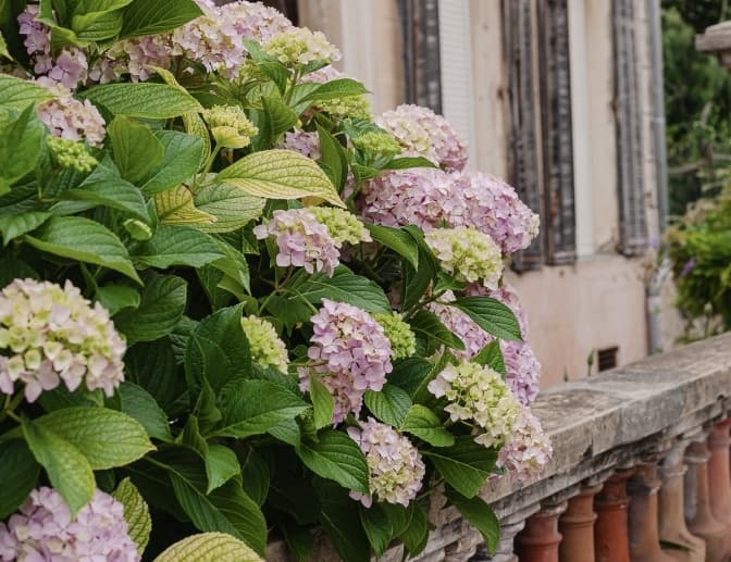 Фото: elena popova for unsplash