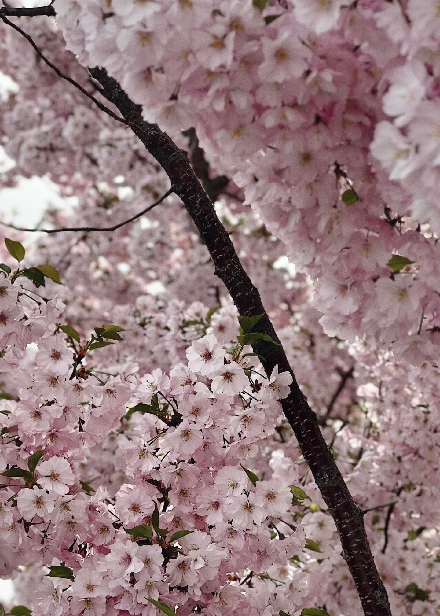 Фото: elzielii/ Threads