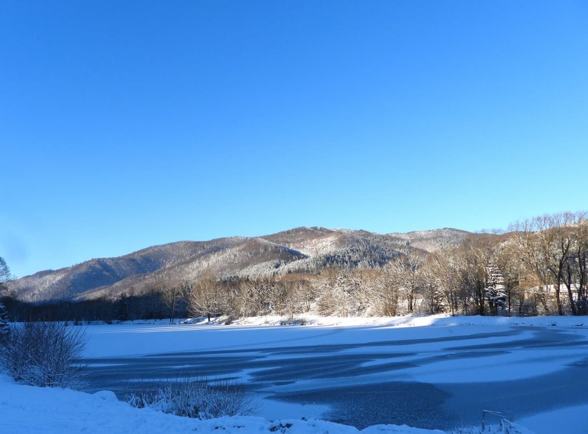 Дві карпатські громади Львівщини отримають мінігранти: що на них планують зробити
