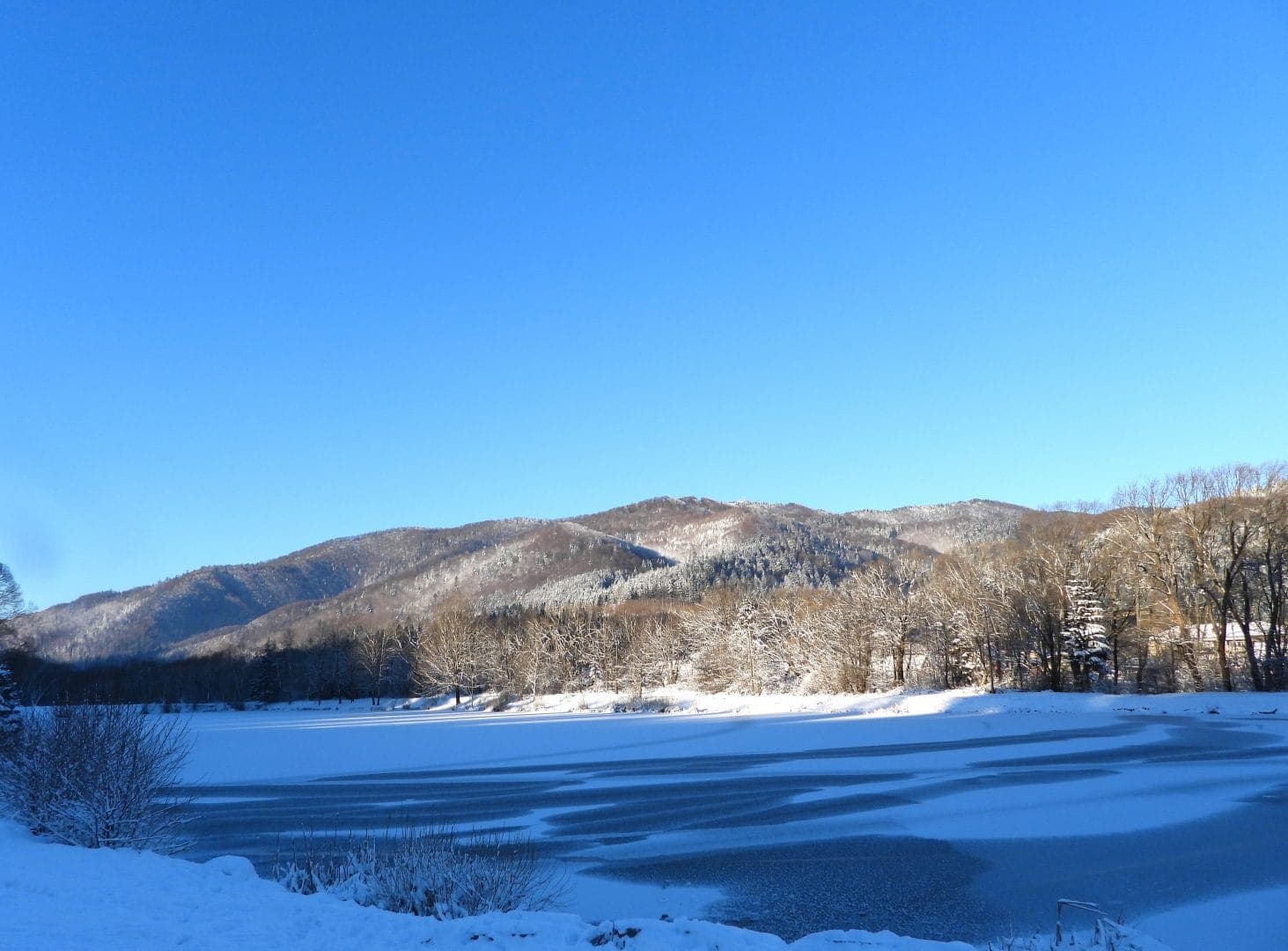 фото умовне/нпп «Сколівські Бескиди»/фото: Наталія Герц