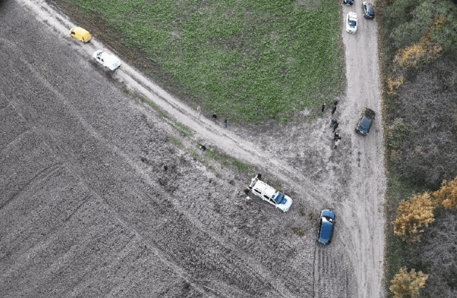 Фото: поліція Львівської області