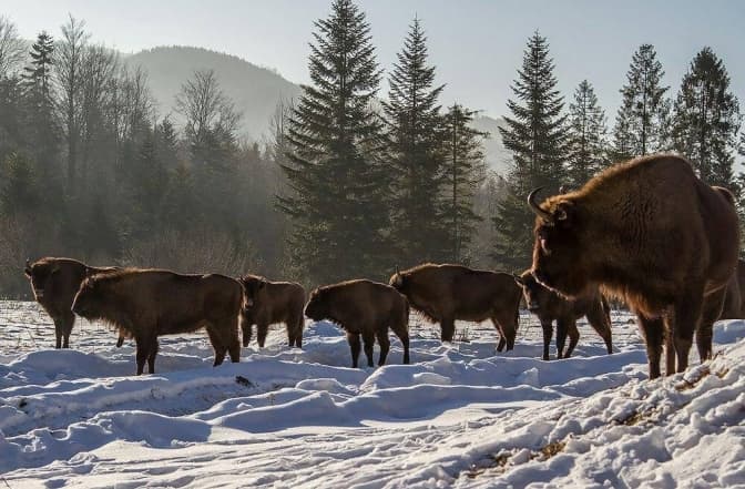Фото умовне/Ігор Гвоздецький