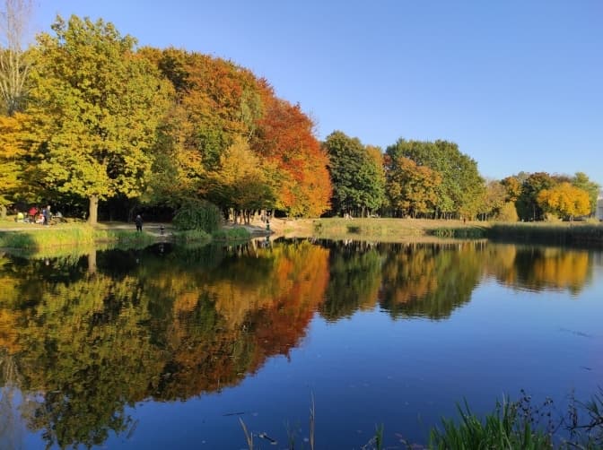 Фото: Любомир Зубач, Горіховий гай