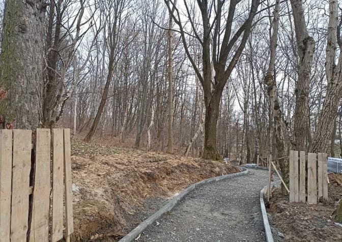 У парку Львова пошкодили дерева. Підрядник заплатить штраф та відшкодування