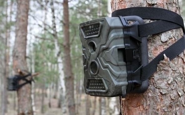 У Львівській громаді встановили фотопастки, які виявлятимуть «сміттєвих» порушників