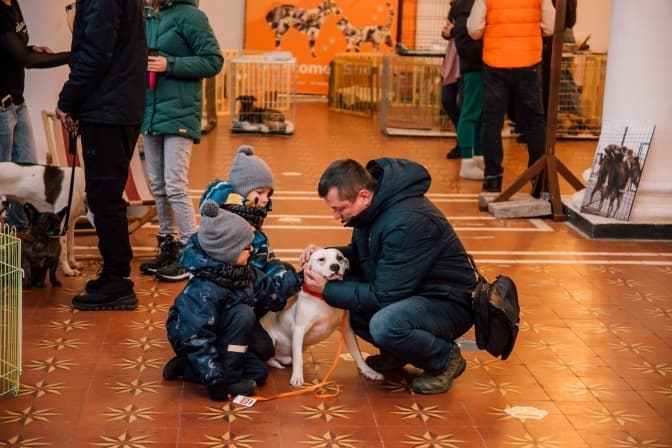 В Києві пройде акція «AdoptMe Days», охочі зможуть забрати додому безпритульну тварину