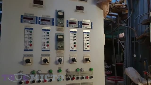 Фото: Дар'я Кучер